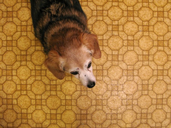 cinnamon, 2007