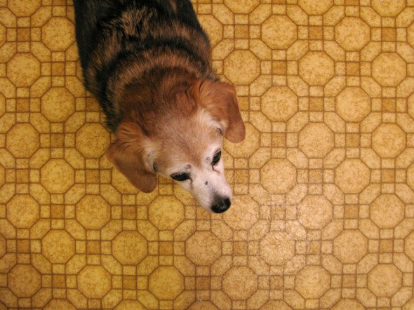 cinnamon, 2007